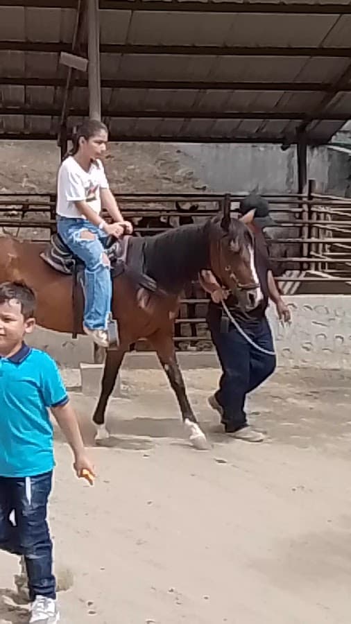 La Granja de Pedro Huila — foto