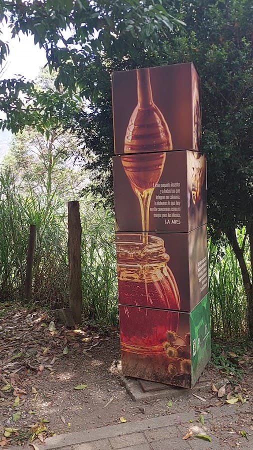 Parque Natural Cerro El Volador — foto