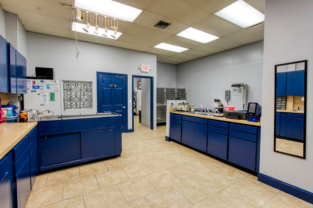 All Pet Care Animal Clinic — foto