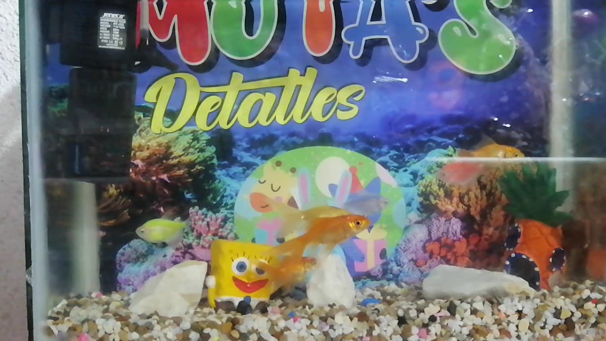 Detalles y Eventos Motas - detalles - desayunos sopresa - Alquiler de mobiliario — foto