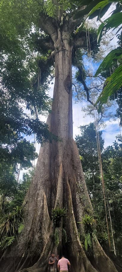 Iquitos Aventour Expeditions — foto
