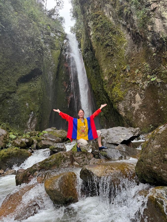 CAMALEÓN TRAVEL — foto