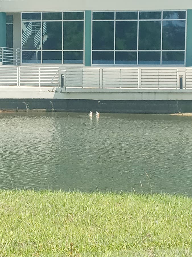 FSCJ North Campus — foto