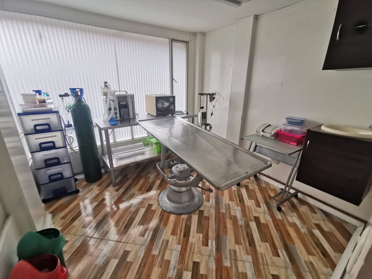Vetpoly | Veterinaria Suba 24 Horas