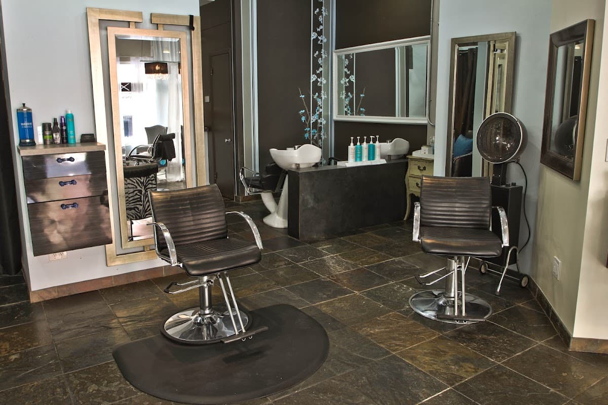 One XI Salon — foto