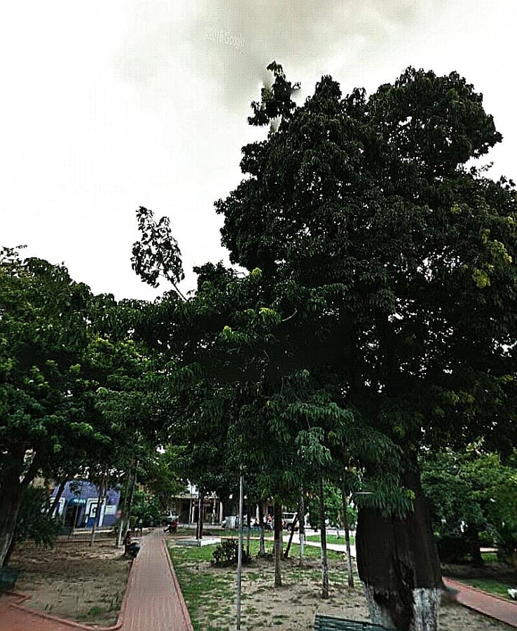 PLAZUELA CALLEJA