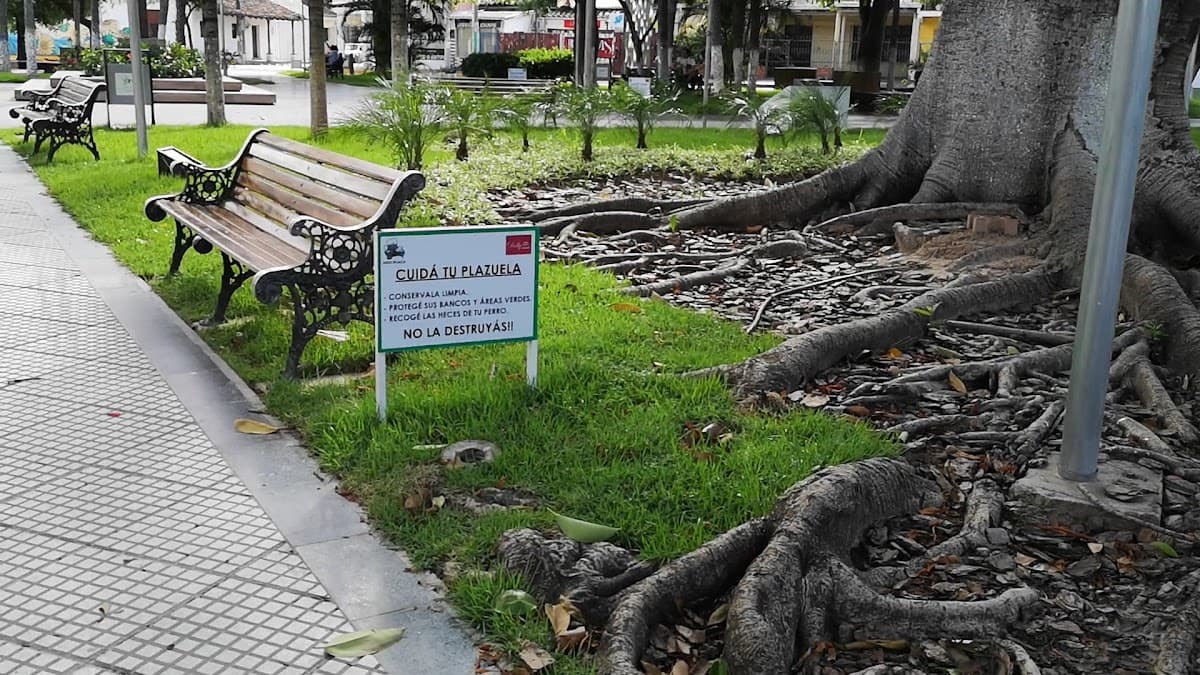 PLAZUELA CALLEJA — foto