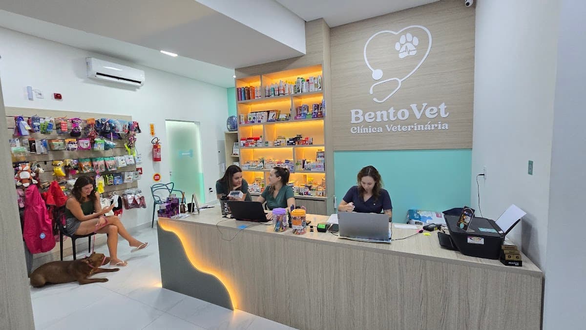 Clínica Veterinária BentoVet | Plantão 24 Itapema