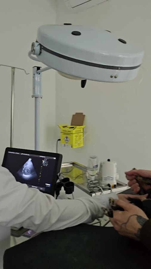Clínica Veterinária BentoVet | Plantão 24 Itapema — foto