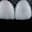 Royal Dental Care