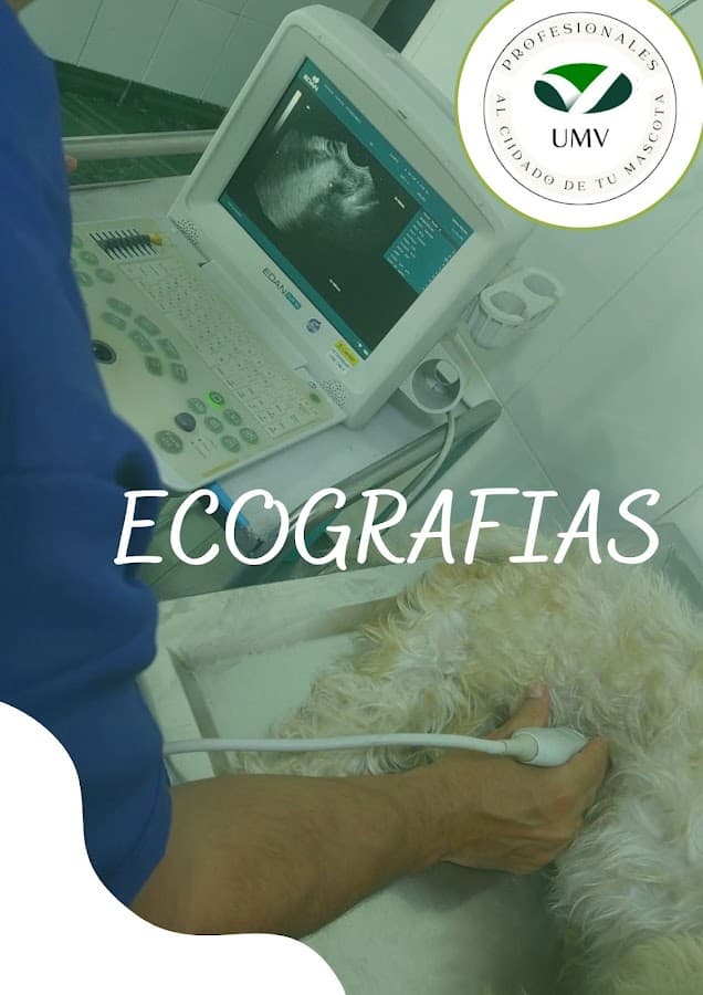 U M V Profesionales Al Cuidado De Su Mascota S.A.S
