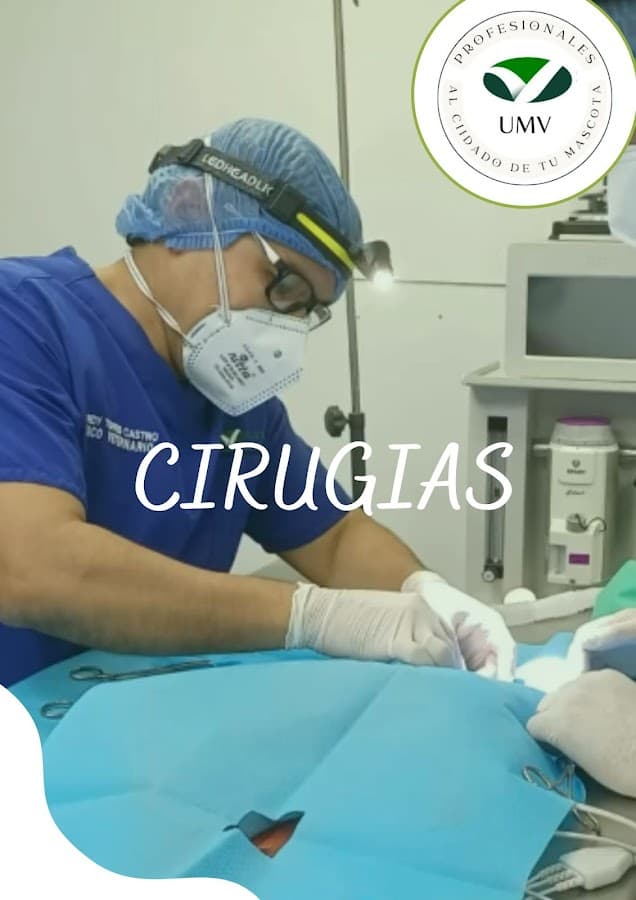 U M V Profesionales Al Cuidado De Su Mascota S.A.S — foto