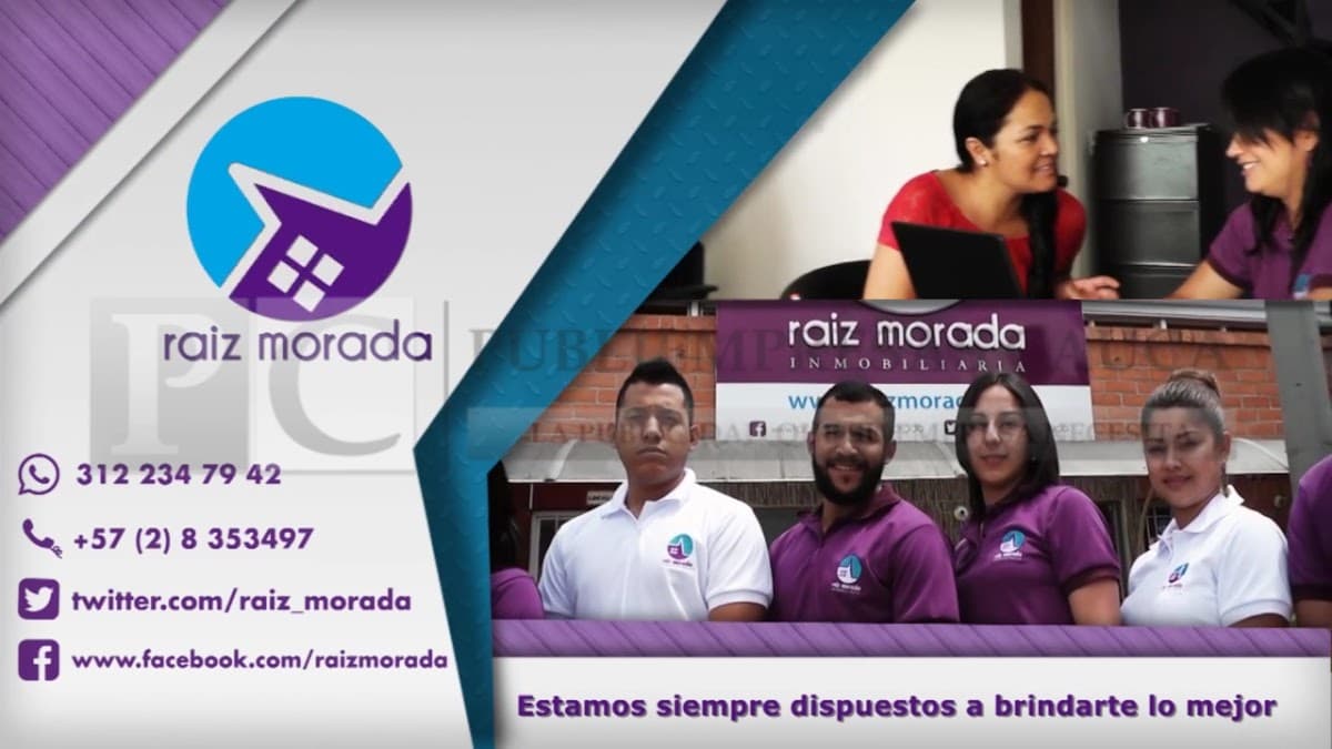 raiz morada inmobiliaria