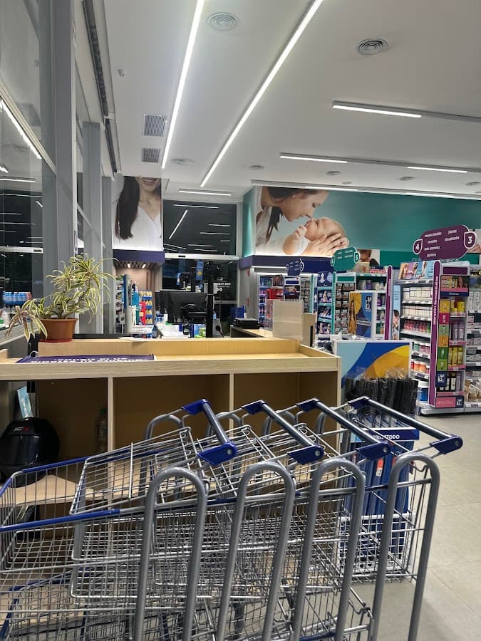 Farmatodo castellana — foto