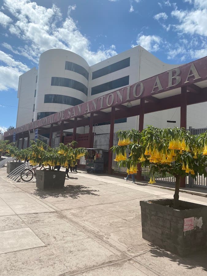 Universidad Nacional de San Antonio Abad del Cusco