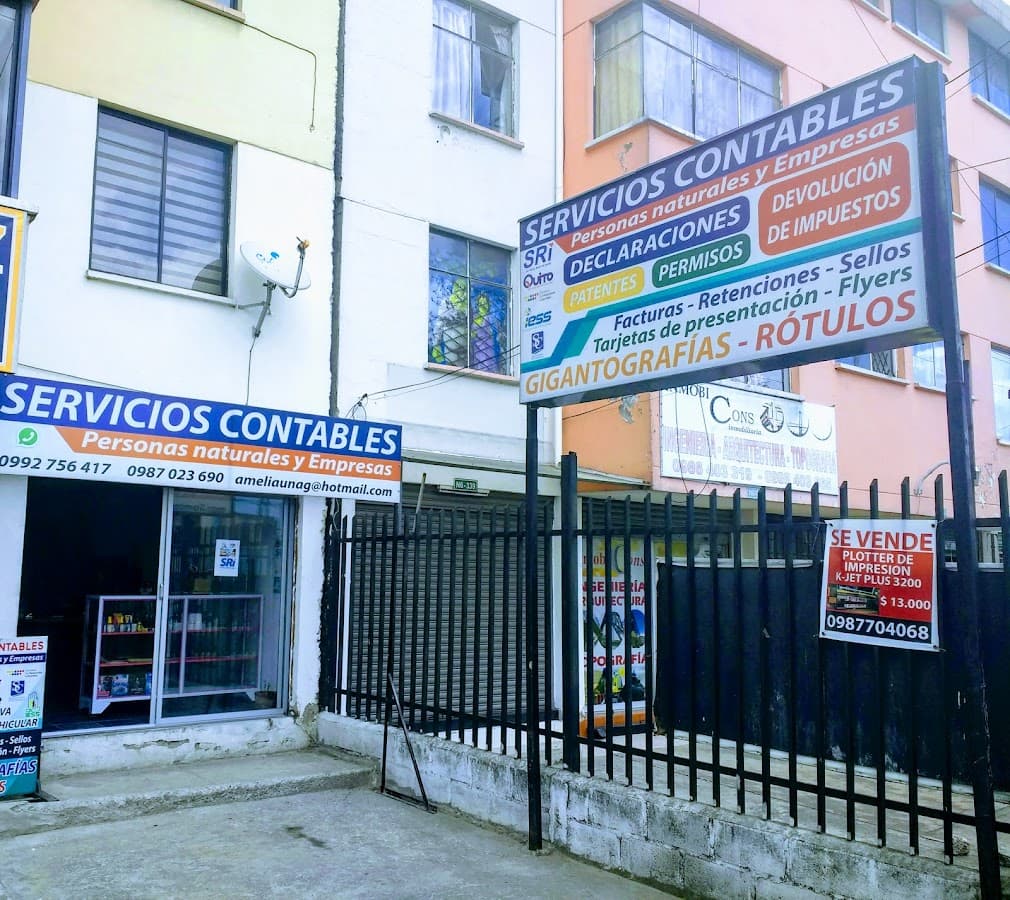 Amelia soluciones