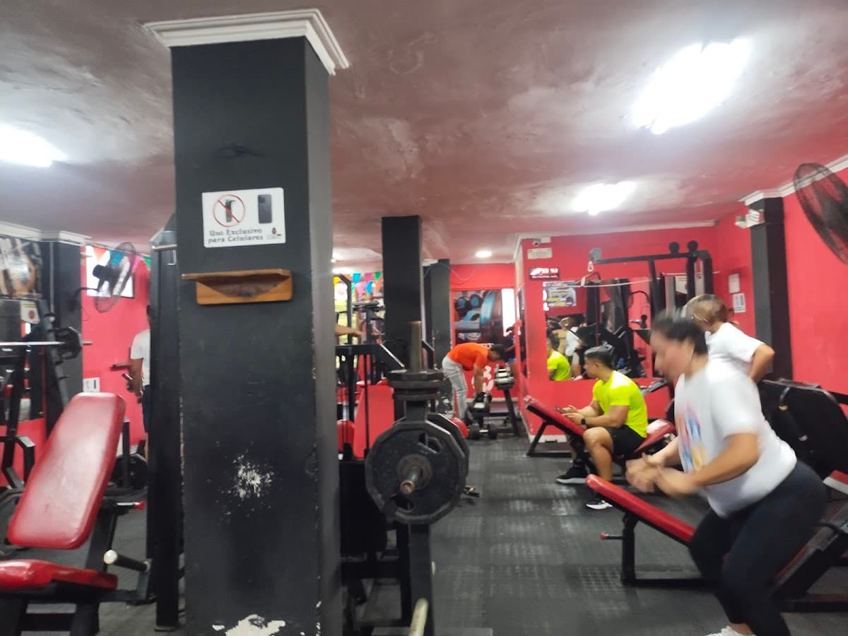MegaFit Gym