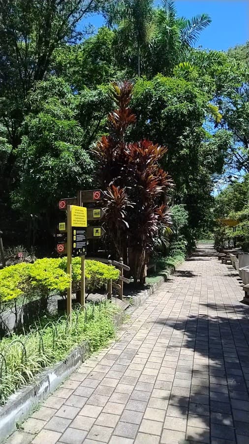 Telemedellín - Canal Parque Gabriel García Márquez — foto