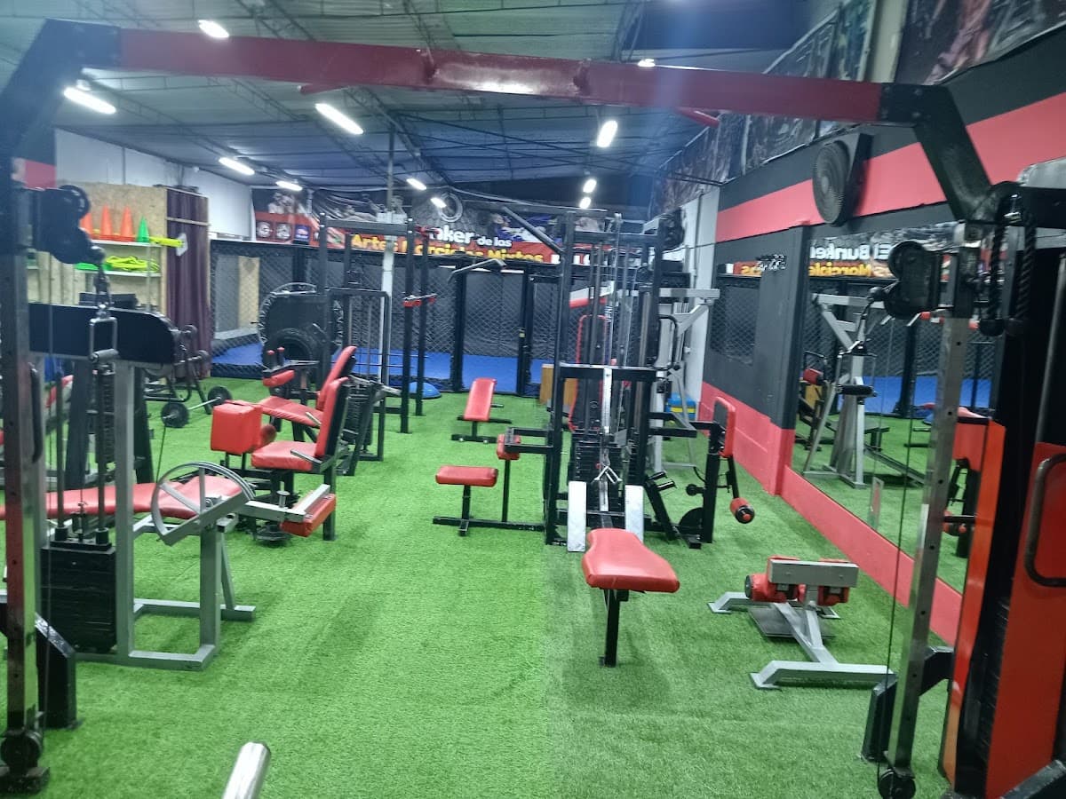 Athletic Life