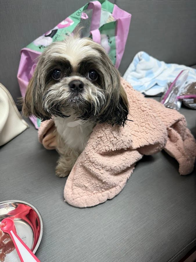 VCA Knowles Central Animal Hospital — foto