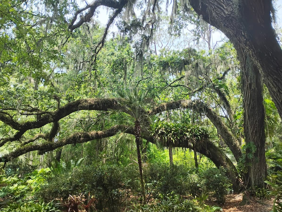 Eureka Springs Park — foto