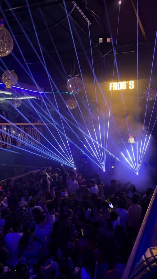 Frog'S Disco Lounge — foto