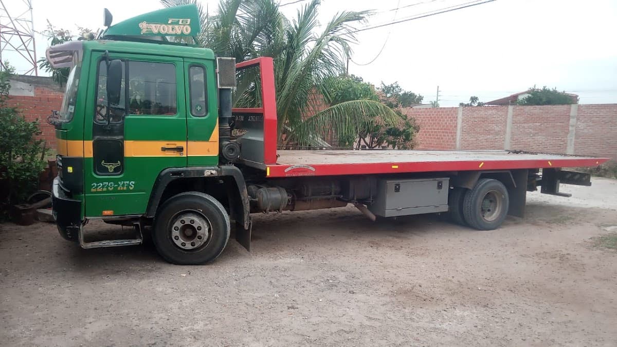 Gruas Tomicha Santa Cruz