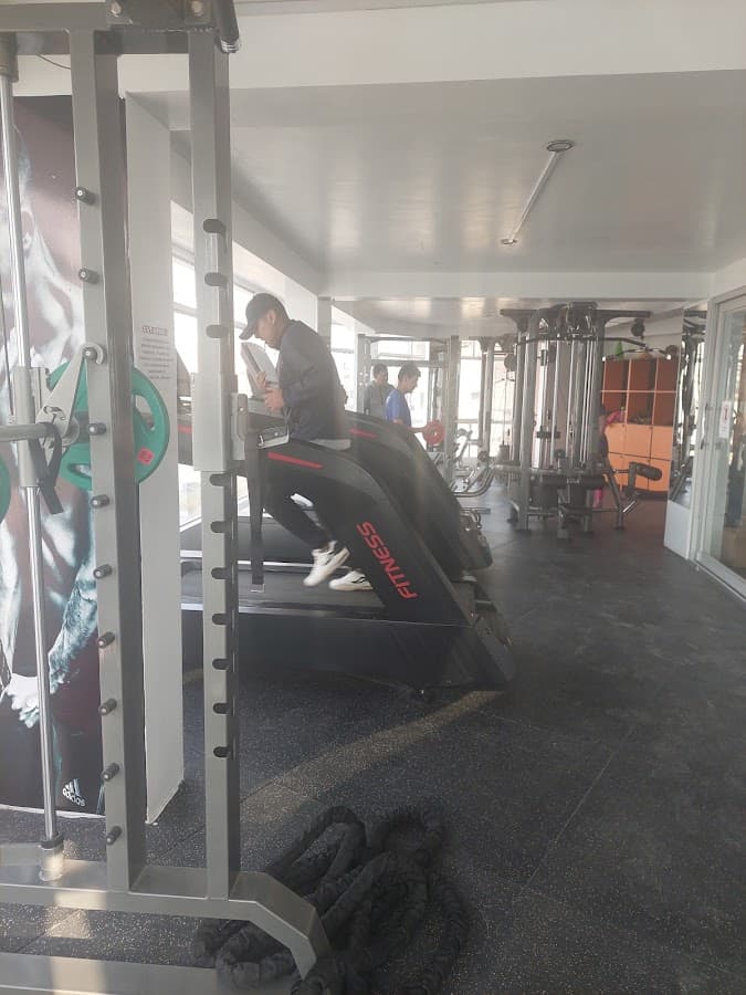Catarsis Fit