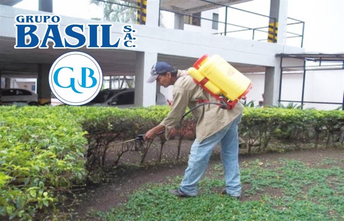 Servicios Generales y Multiples Grupo Basil Sac