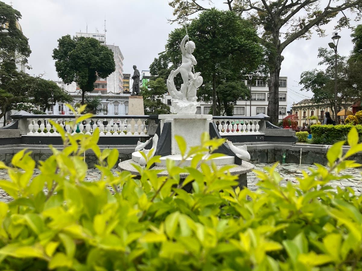 Idime S.A. Ibagué Imágenes