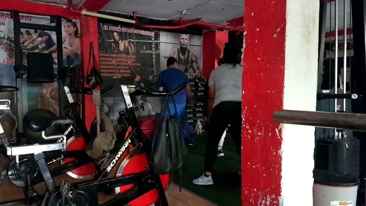 Xtreme Power Gym — foto