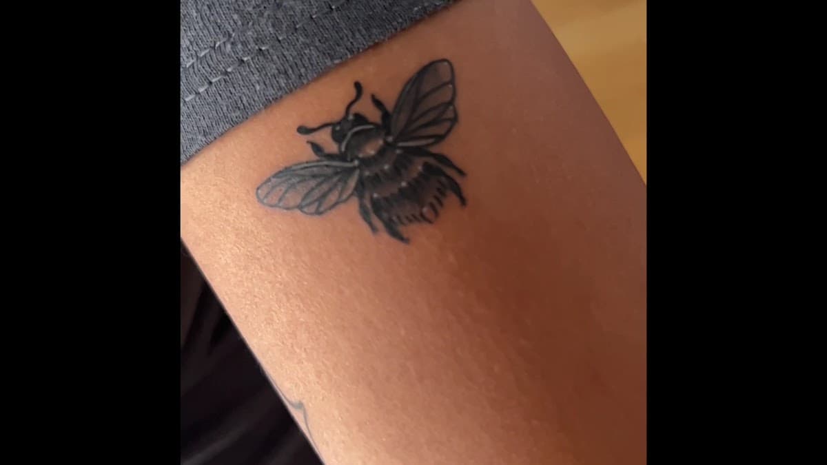 Tiger Temple Tattoo — foto