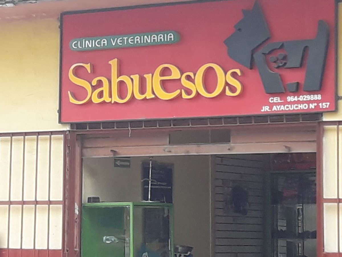 Suricat's — foto