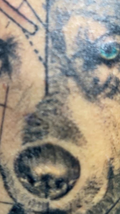 Tatuador con muy buena experiencia en fine line y sombras . Leoartatto — foto