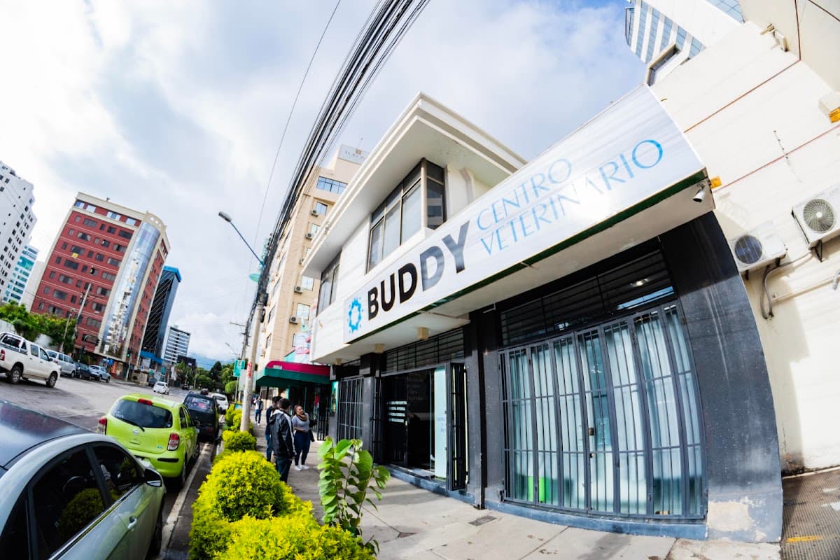 Centro veterinario buddy