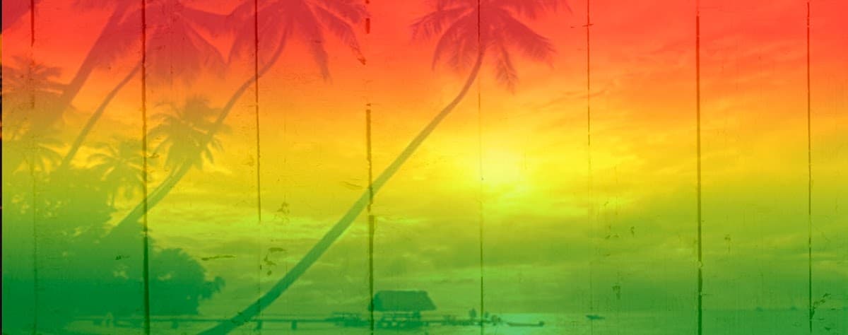 Tuff Gong Reggae Boat Tours — foto