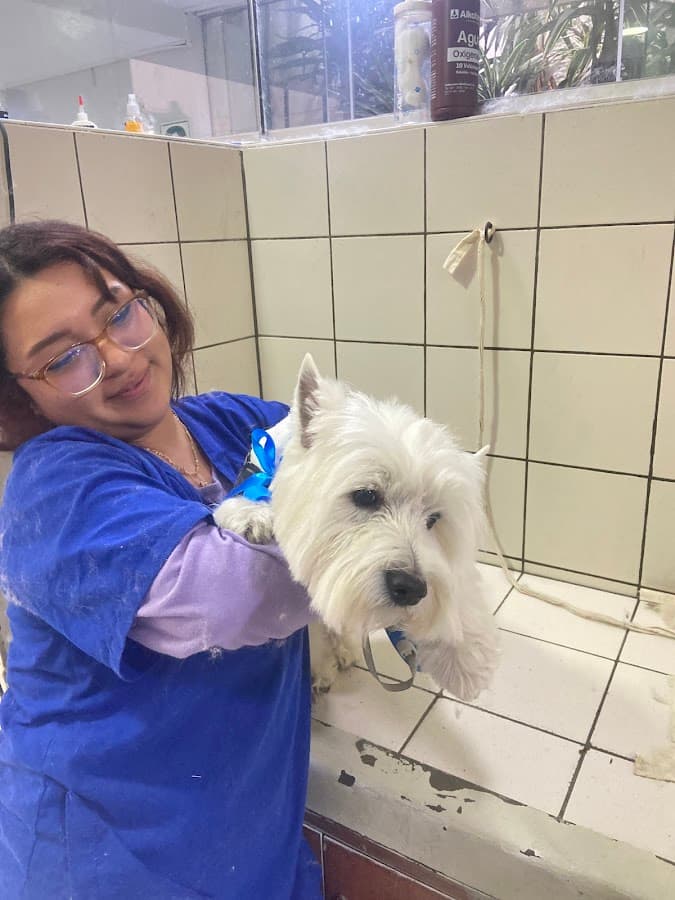 Clínica Veterinaria Rondón — foto