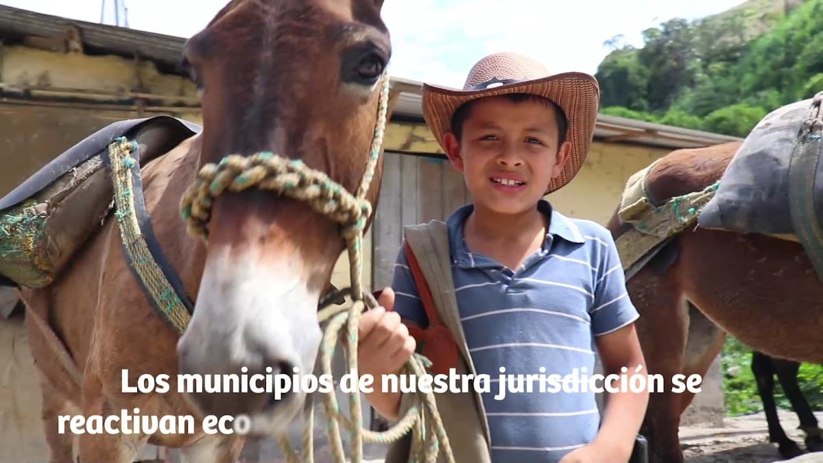 Camara de Comercio de Ibagué — foto