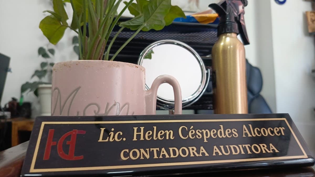auditoresyconsultoresh2ca