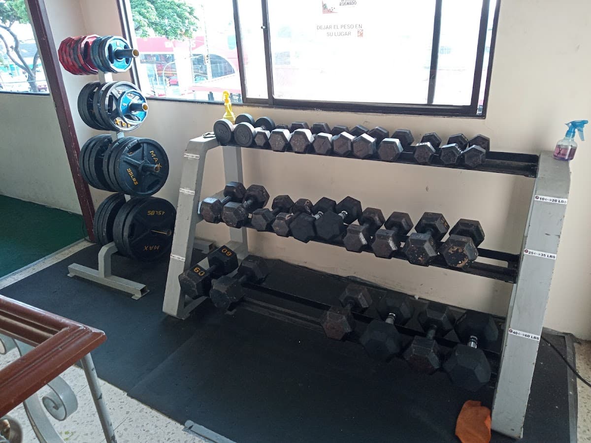 Kingdom Sport — foto