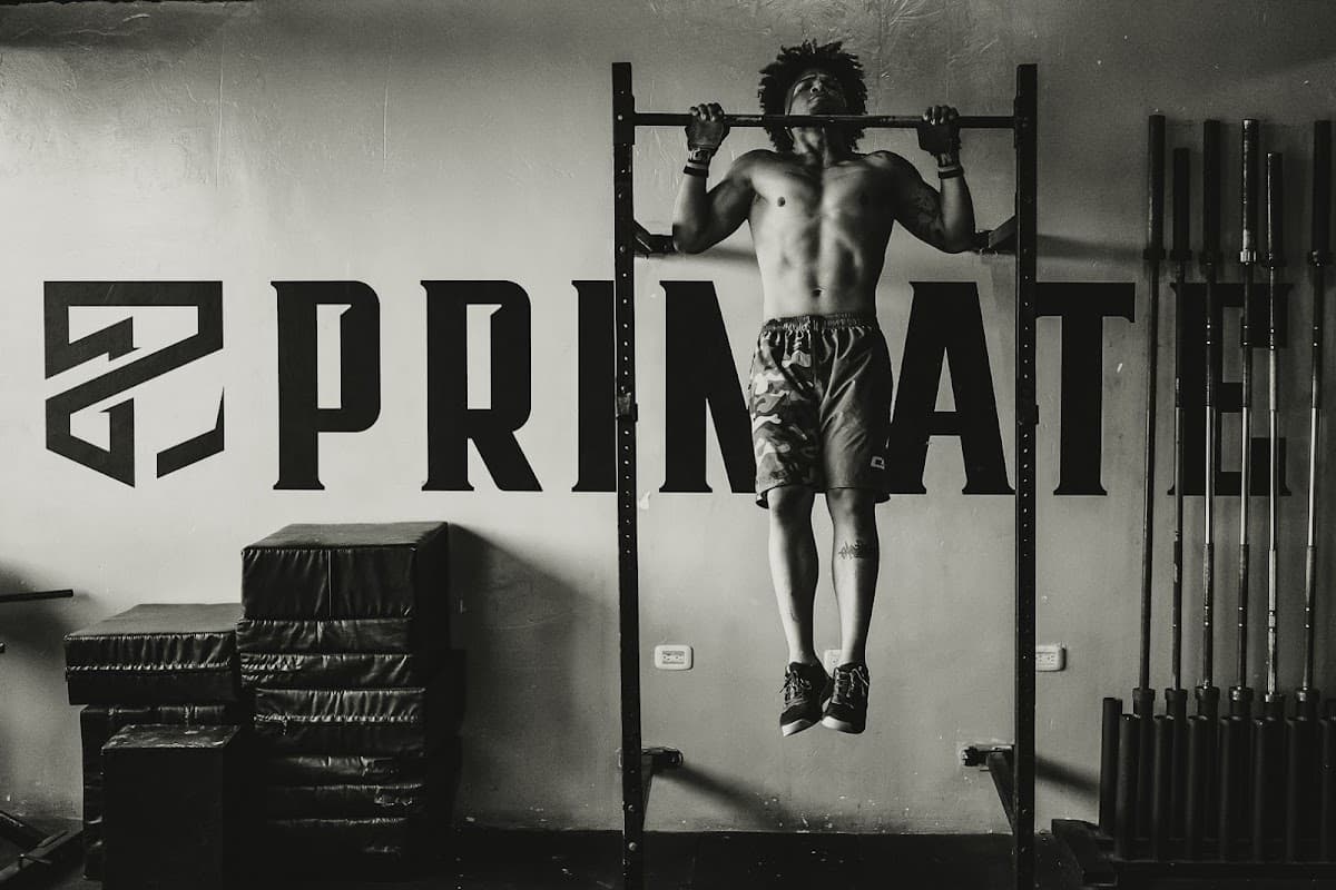 Primate Box Centro Deportivo