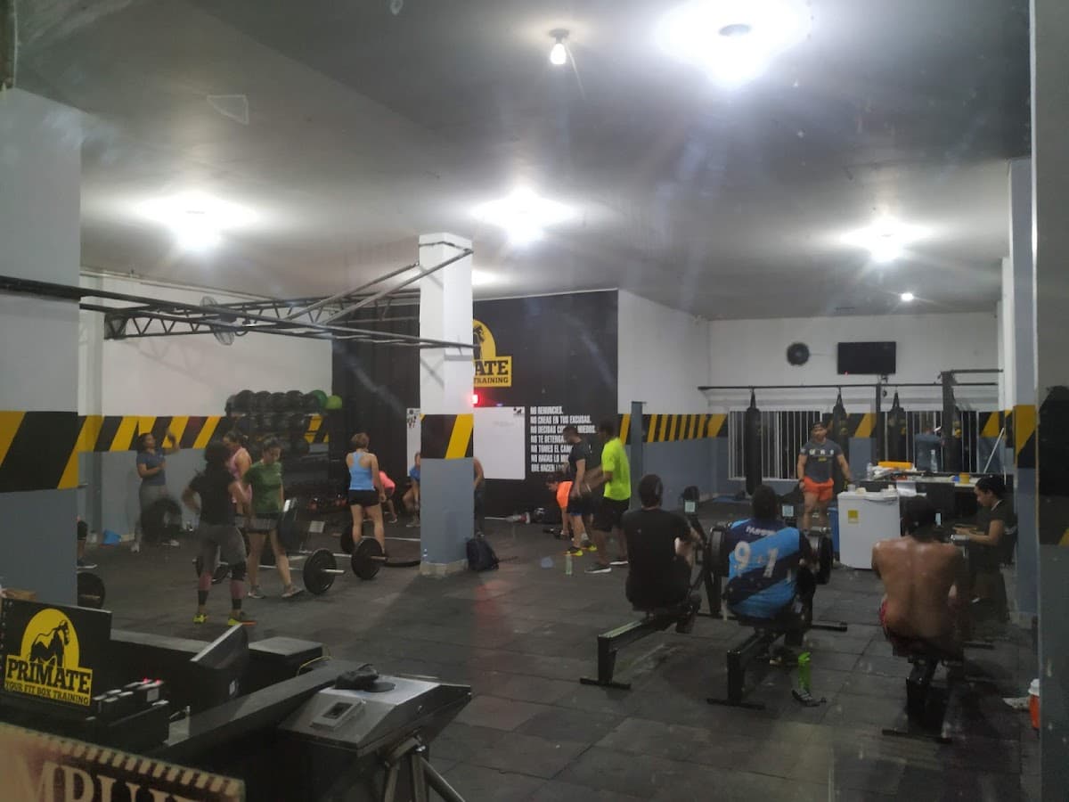 Primate Box Centro Deportivo — foto