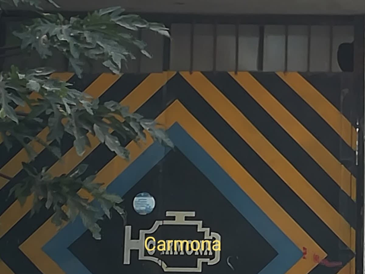 Inyección electrónica automotriz Carmona