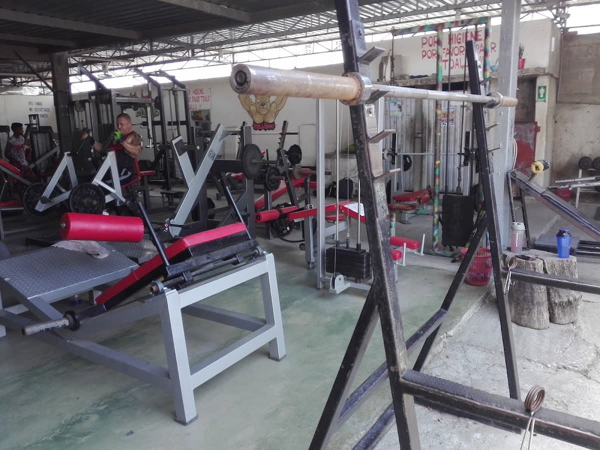 Gimnasio Bulldog King