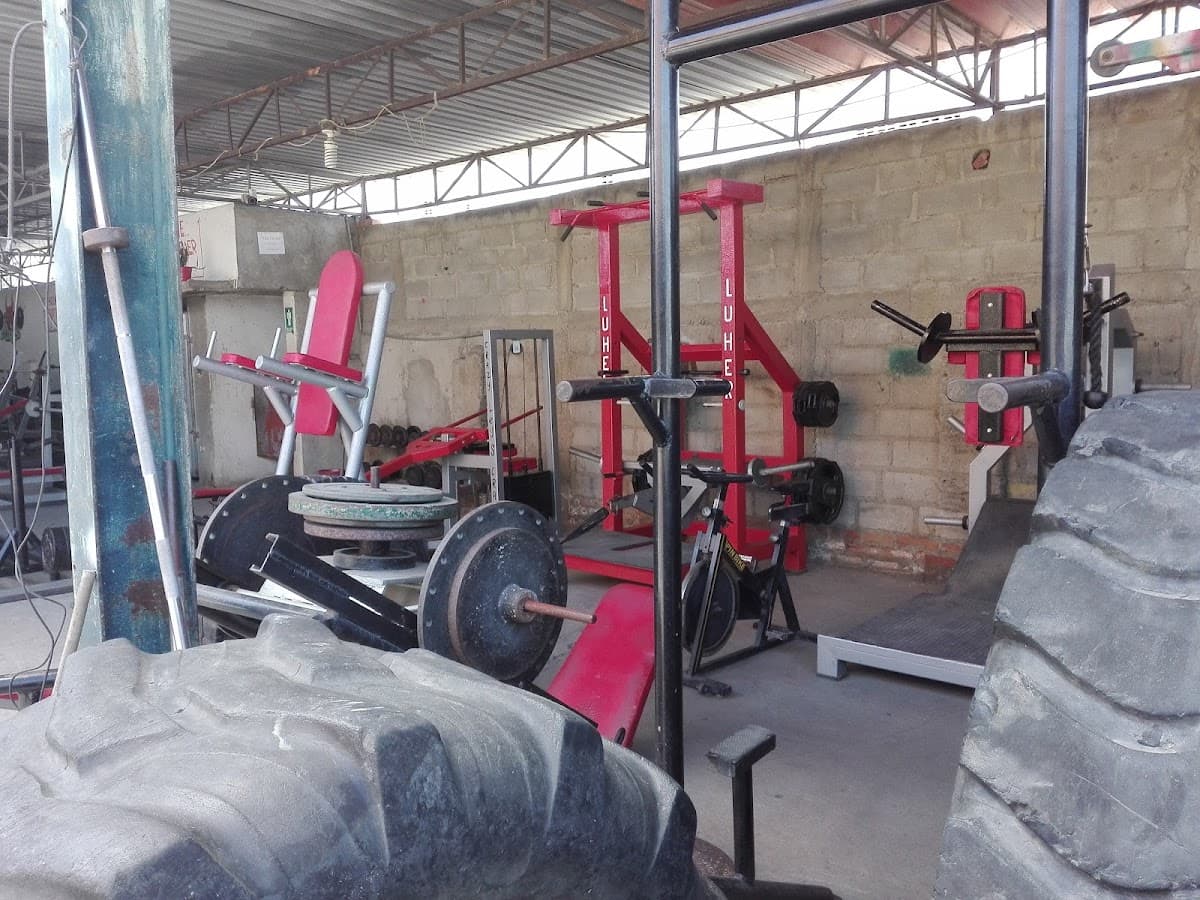 Gimnasio Bulldog King — foto