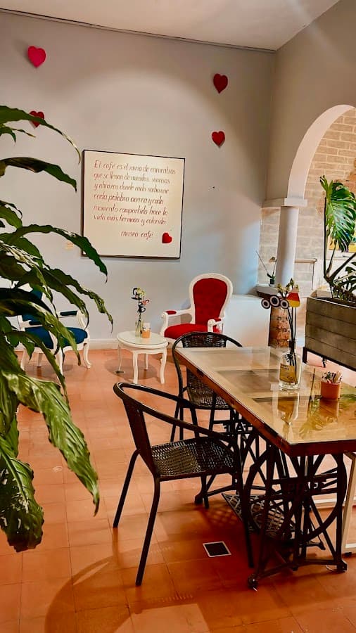 MUSEO CAFÉ