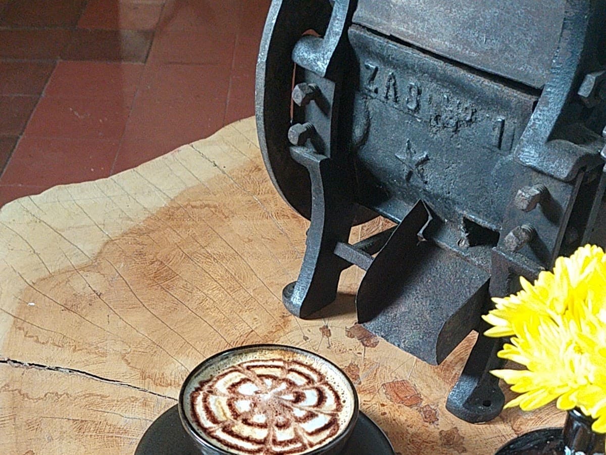 MUSEO CAFÉ — foto