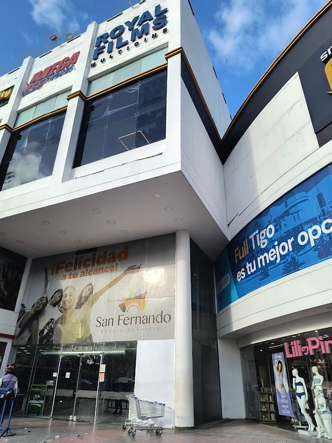 Centro comercial San Fernando