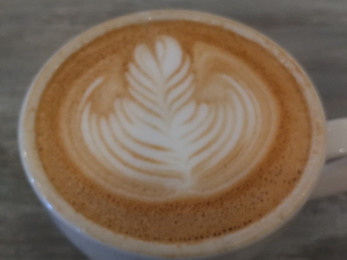 Blind Tiger Coffee Roasters- Ybor City Cafe — foto