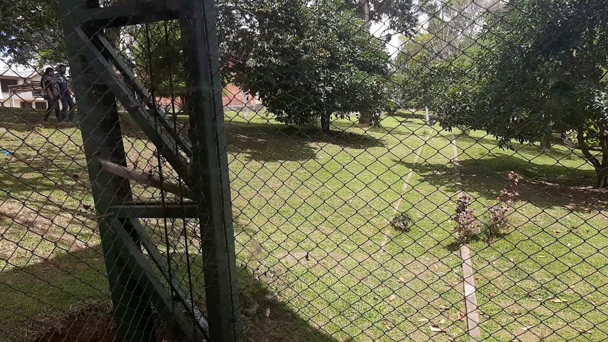 Polideportivo Barrio Palacé — foto